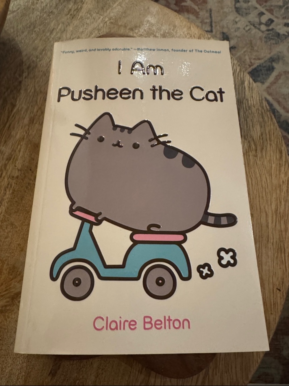 Pusheen Book Cover - Gray & Teal Illustration